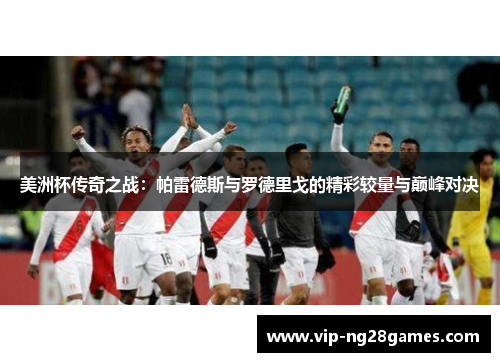 美洲杯传奇之战：帕雷德斯与罗德里戈的精彩较量与巅峰对决