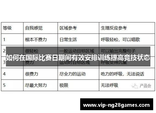如何在国际比赛日期间有效安排训练提高竞技状态