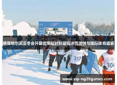 感受哈尔滨亚冬会开幕式荣耀时刻展现冰雪激情与国际体育盛宴
