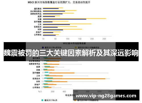魏震被罚的三大关键因素解析及其深远影响
