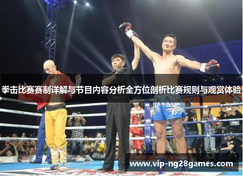 拳击比赛赛制详解与节目内容分析全方位剖析比赛规则与观赏体验